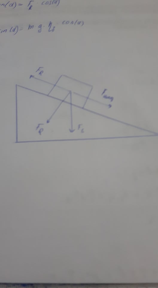 22119115_10210983721977434_1618360828_n.jpg