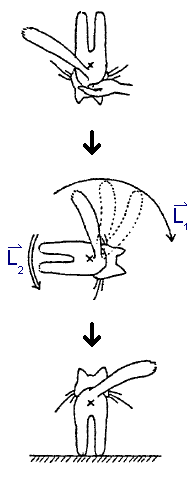 b10Aufg3-1.PNG
