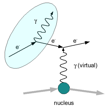 bremsstrahlung_nucleus.png